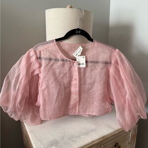 Sheer Pink Free People Brenda Knight Button-Up Blouse